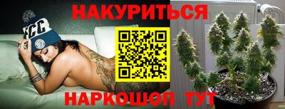 прущие крисы Малгобек
