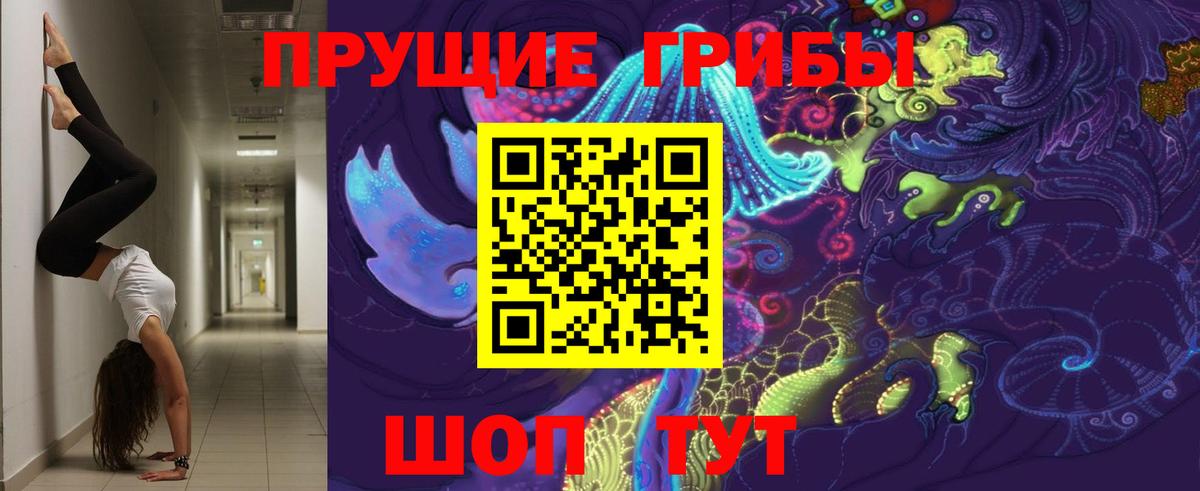 Псилоцибиновые грибы Psilocybine cubensis  Вход с VPN  Чапаевск  Псилоцибиновые грибы GOLDEN TEACHER 